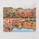Suche nach walden teich poster Waldland