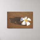 Suche nach plumeria leinwandbilder Natur