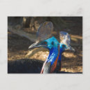 Suche nach süd postkarten Australie