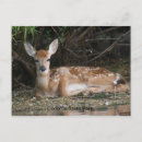 Suche nach bambi postkarten Verblassen