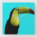 Suche nach tropische vögel wanduhren Vogel