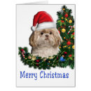 Suche nach shitzue karten Lustig