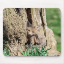 Suche nach roter fuchs mousepads Natur