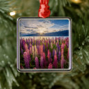 Suche nach lupinen ornamente Neuseeland