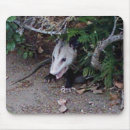 Suche nach opossums mousepads Natur