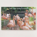 Suche nach flamingos puzzle Foto