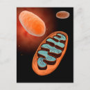 Suche nach mitochondrien Pathologie