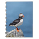 Suche nach puffin kleine notizbücher Tier