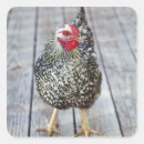 Suche nach freier vogel aufkleber Natur