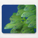 Suche nach franzosen mousepads Tier