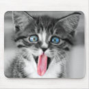 Suche nach kätzchen mousepads Babytiere