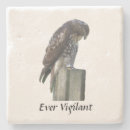 Suche nach falken untersetzer Wanderfalke