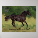 Suche nach filly poster Colt