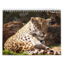 Suche nach tragen kalender Katzen