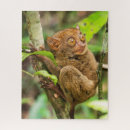 Suche nach gruselig puzzle Wald