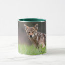 Suche nach coyote tassen Kojot