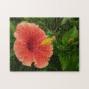 Suche nach pfirsich puzzle Hibiskus