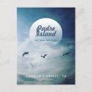 Suche nach pelikan postkarten Vögel