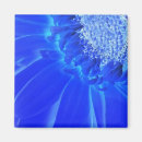 Suche nach gerbera magnete Blau