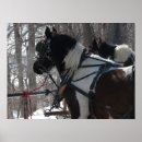 Suche nach team arbeit poster Pferd