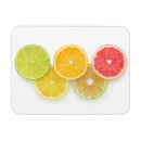 Suche nach olympia magnete Olympisch