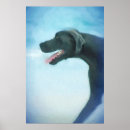 Suche nach daner poster Für haustiere