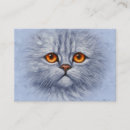 Suche nach tabby visitenkarten Kitty