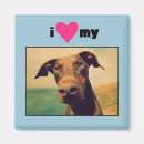 Suche nach mit hund magnete Haustier