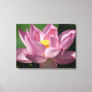 Suche nach lotus leinwandbilder Rosa