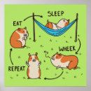 Suche nach meerschweinchen poster Süß