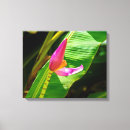 Suche nach tropische blumen leinwandbilder Strandhaus