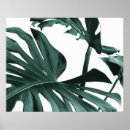 Suche nach monstera poster Modern