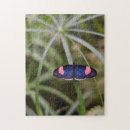 Suche nach nature puzzle Blau