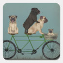 Suche nach lustige fahrrad aufkleber Hunde mit fahrrädern