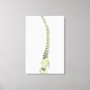 Suche nach biologie leinwandbilder Gesundheitswesen