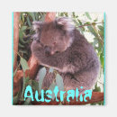 Suche nach koalabär magnete Australien