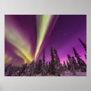 Suche nach nordlicht poster Wald