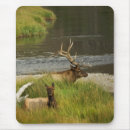 Suche nach in yellowstone mousepads Elch