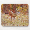 Suche nach geweih mousepads Hirsch
