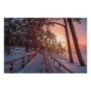 Suche nach kiefernwald poster Sonnenuntergang