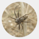 Suche nach creepy aufkleber Spinnen