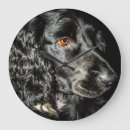 Suche nach cocker spaniel wanduhren Kaninchen