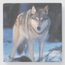 Suche nach canis untersetzer Tier