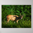 Suche nach grüne pflanzen poster Tiere