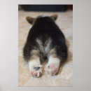 Suche nach welsh corgi poster Niedlich