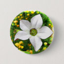 Suche nach orange blüte buttons Gelb