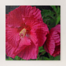 Suche nach hibiskus puzzle Rosa