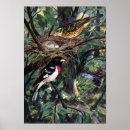 Suche nach vogelei poster Nester