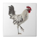 Suche nach rooster fliesen Geflügel