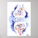 Suche nach synapse poster Nerv